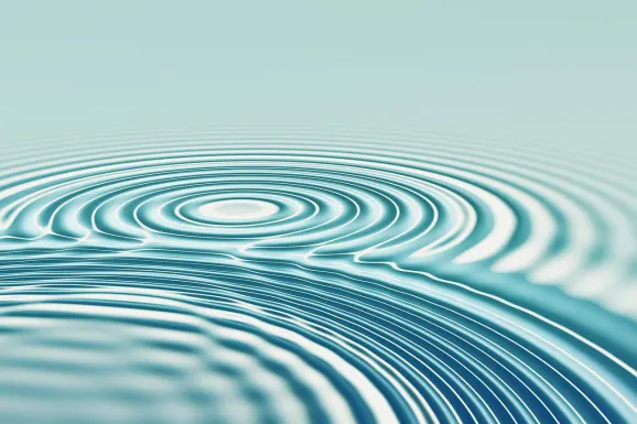 Kazino PNX Bet Atbalsts